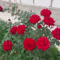 Talgar. :: Murat Bukaev 