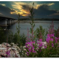 /// :: Константин Есипов