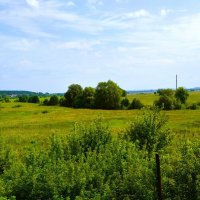 Алатырь. Летним днём за городом в западных окрестностях. :: Пётр Чернега