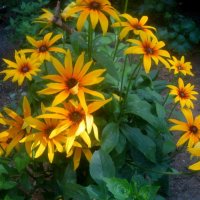 ***** :: Елена Семигина ***** :: Елена Семигина