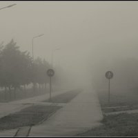 *** :: Aleksandr Gal