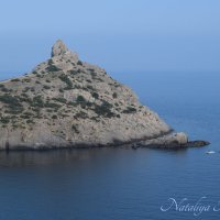 Природа Крыма :: Amazing Cosmea