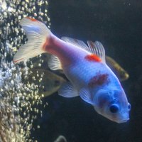 Морской релакс :: Мария Реброва