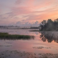 **** :: Елизавета .