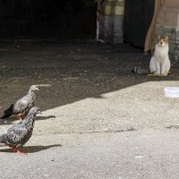 Троица :: skijumper Иванов