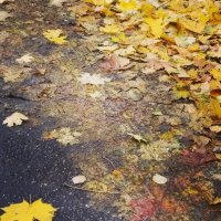 Осень :: Натали 