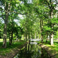 парк :: марта Камушкина