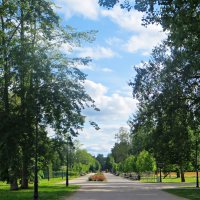 парк :: марта Камушкина