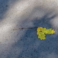 А осень крадётся... :: Валерий Иванович А осень крадётся... :: Валерий Иванович