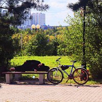 Уморился!...Из жизни велотуриста! :: Владимир 