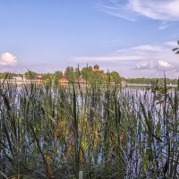 Заросшие берега :: Сергей Цветков Заросшие берега :: Сергей Цветков