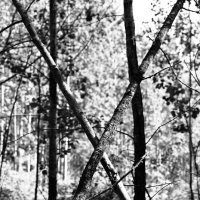 Назва. отсу. :: Денис Безногов