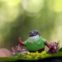 А вы снимаете на старые мануальные объективы? :-) :: Андрей Заломленков