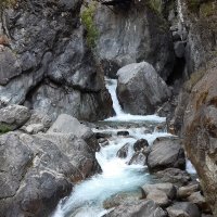 Конец июля - тоже середина лета :: Галина Минчук