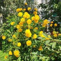 ,,, :: Сергей Тимоновский ,,, :: Сергей Тимоновский