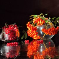 Август :: Валентина Богатко 