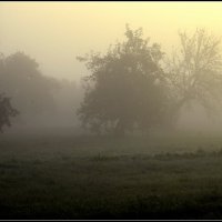 Светает :: Aleksandr Gal Светает :: Aleksandr Gal