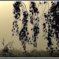 *** :: Aleksandr Gal