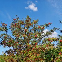 ЛЕТО :: Юрий Владимирович 34 ЛЕТО :: Юрий Владимирович 34