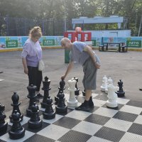 Шахматы :: Дмитрий Никитин