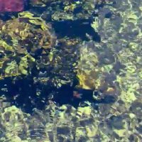 112 (206) :: СТРЕН 