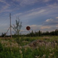 Осторожно, сталкер :: Дмитрий Костоусов