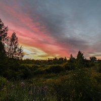 тёплый вечер :: сергей 