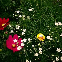 Летние этюды 78 :: Алексей Кузнецов Летние этюды 78 :: Алексей Кузнецов