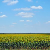 полдень :: Всеволод 