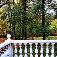 Осень :: Любимова Ольга 