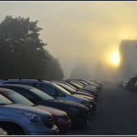 Спят усталые игрушки... :: Aleksandr Gal