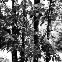 Назва. отсу. :: Денис Безногов