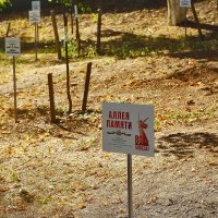 Аллея героев :: Юрий Гайворонскiий Аллея героев :: Юрий Гайворонскiий