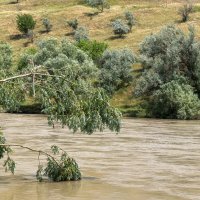 Река Кубань :: Игорь Сикорский