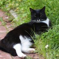 Весна в Ботаническом... Май. :: Наташа *****