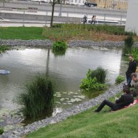 Москва. Парк "Зарядье" :: Дмитрий Никитин Москва. Парк "Зарядье" :: Дмитрий Никитин