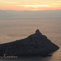 Природа Крыма :: Amazing Cosmea