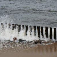 ~~~ ** ~~~ :: Алёна Савина ~~~ ** ~~~ :: Алёна Савина