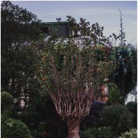 *** :: someone somewere