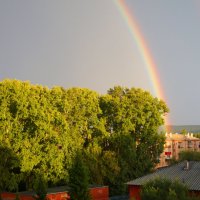 После дождя :: Наталия Григорьева