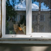 *** :: Валерий Михмель 