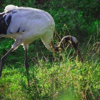 Милая, где ж ты, мая ЛЮБОВЬ :: Владимир Максимов Милая, где ж ты, мая ЛЮБОВЬ :: Владимир Максимов