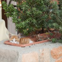 Кипр. Ларнака :: Андрей 