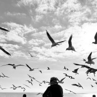 «Improvisation» :: Арина Невская