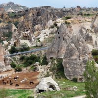 Лошадки :: Сергей Никифоров