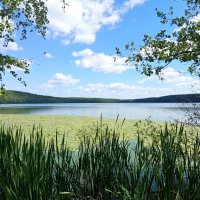 На озере ТЕРЕНКУЛЬ :: Дмитрий Петренко