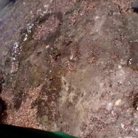 112 (211) :: СТРЕН 