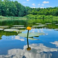 Река Солоница :: Михаил Свиденцов