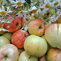 С Яблочным Спасом, друзья! :: Валентина  Нефёдова 