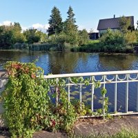 На подводящем канале :: Veera V